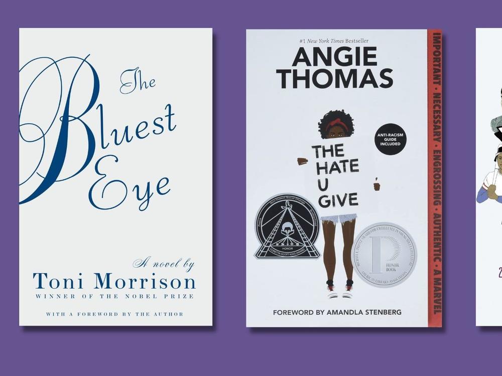 <em>The Bluest Eye, The Hate U Give</em> and <em>Queer, There and Everywhere</em> are among the books that have faced bans around the country.