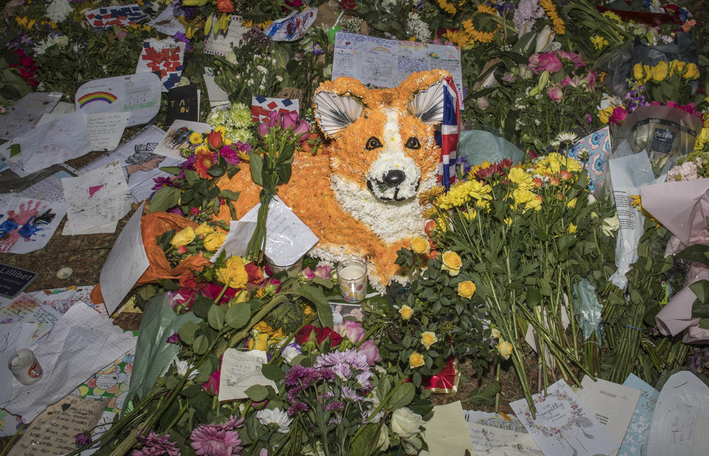A corgi made from flowers sits in Green Park, London on Saturday.