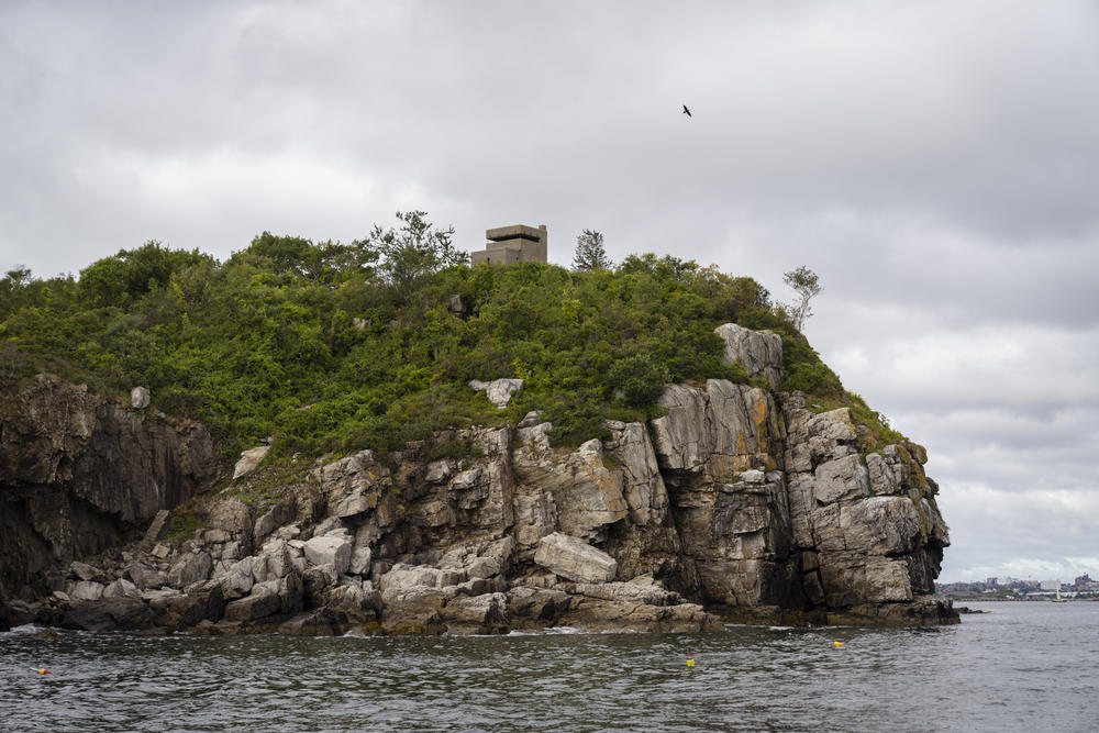 The coastline near the Portland Pier, as seen from aboard Sea Smoke.
