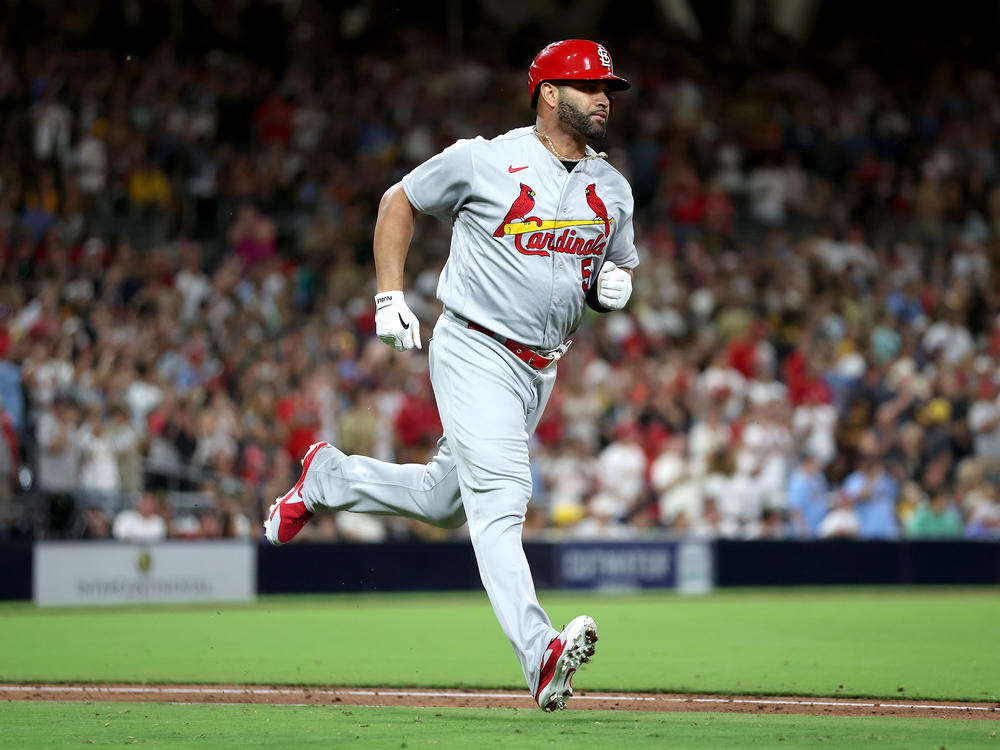 Albert Pujols of the St. Louis Cardinals is chasing history in his pursuit of 700 career home runs. Only three other players have ever done it. He has 698 (and counting).