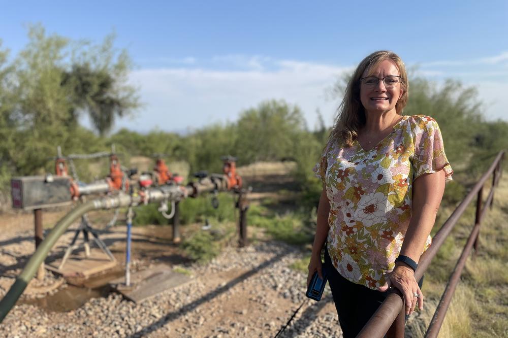 Karen Nabity's home, and some 500 others in her neighborhood outside Phoenix have been told they'll be cut off from water due to cuts in deliveries from the Colorado River.