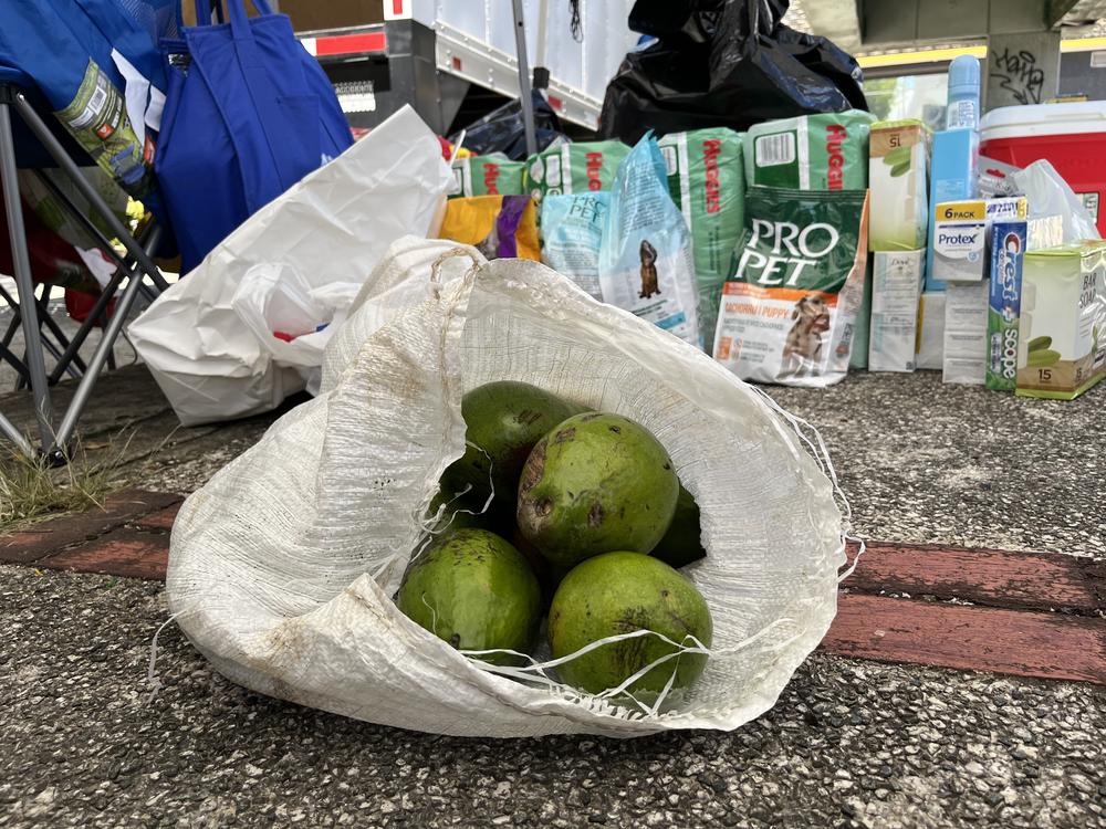 At a donation drive in San Juan, people who brought supplies for hard-hit communities got two avocados as a token of gratitude.