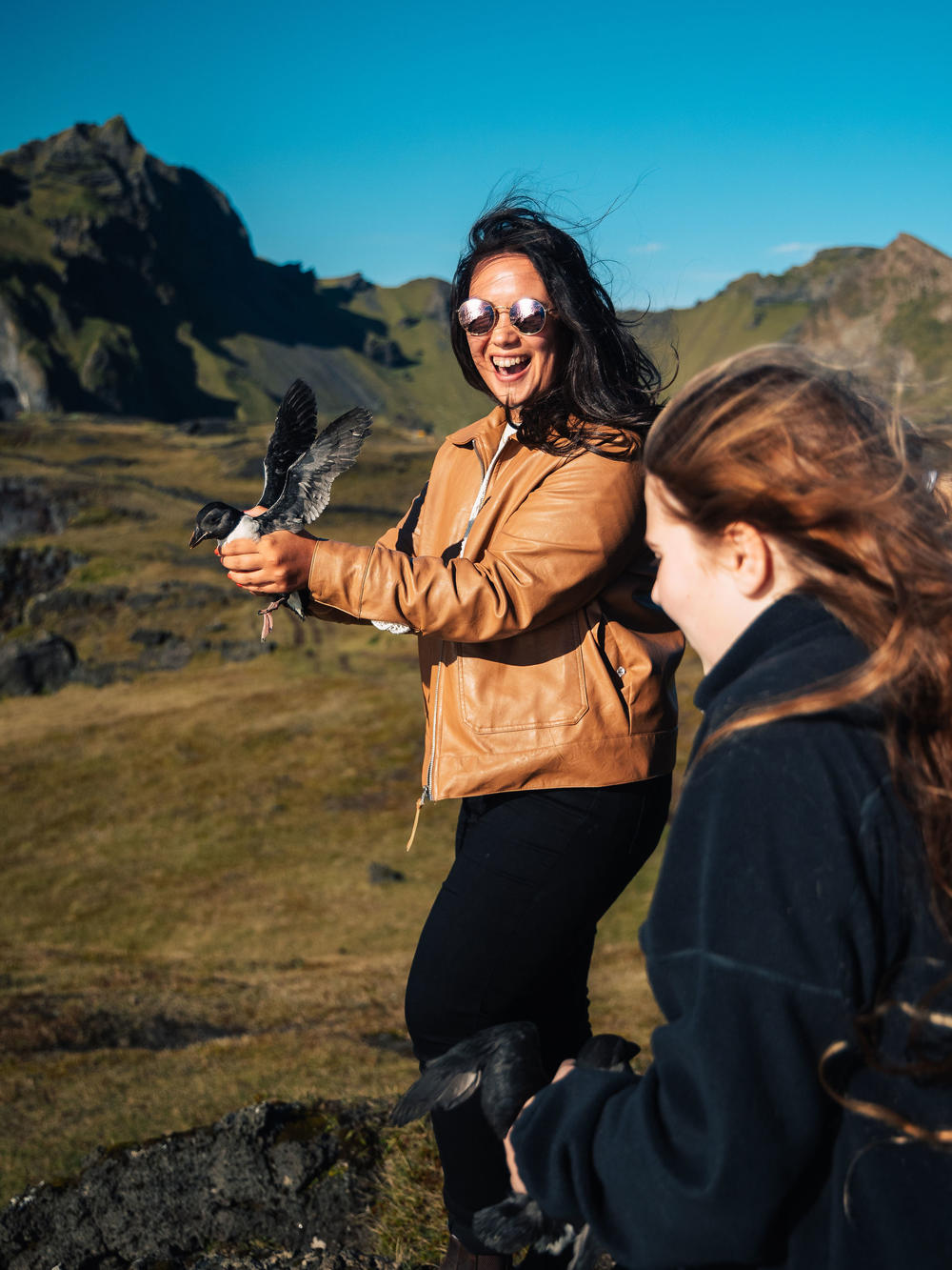 Families often get their kids involved in patrolling for pufflings. Powers compared the atmosphere on the streets each night to Halloween.