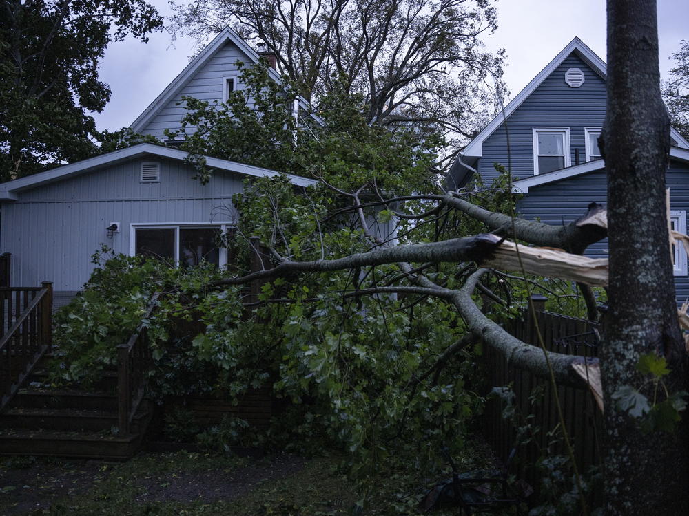 A fallen tree rests on a house early Saturday in Halifax after Fiona's strong rains and winds lashed the Atlantic Canada region.