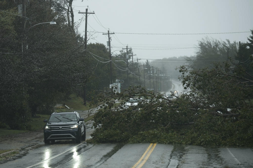 Vehicles navigate around a downed tree from Post-Tropical Storm Fiona on Saturday in East Bay, Nova Scotia on Cape Breton Island in Canada.