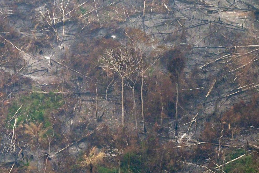 A deforested and burning area of the Amazon rainforest in the Lábrea region in northern Brazil on Sept. 2. The Amazon has been seeing its worst months for fires in over a decade.