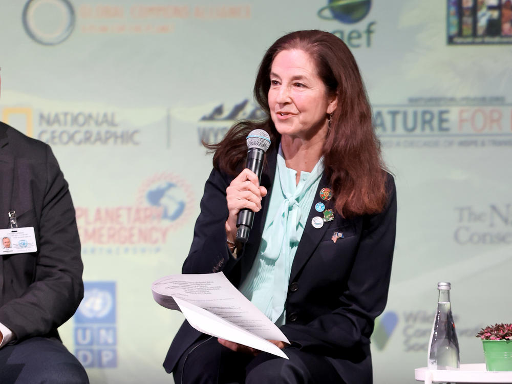 Monica Medina, assistant secretary of state for oceans and international environmental and scientific affairs is pictured on Sept. 20 in New York City. She will take on additional responsibilities as an envoy on biodiversity and water resources.