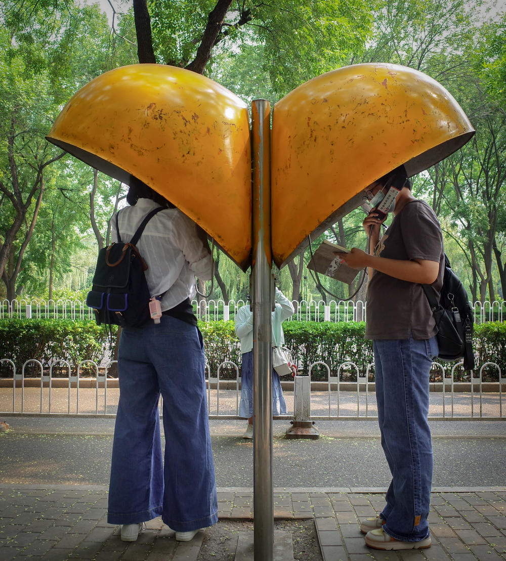 The performance artist Nut Brother came up with the idea of having Gourd Island residents call the Beijing payphone to seek redress for the environmental issues they face.