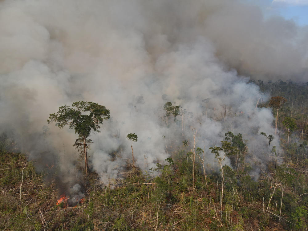 A large fire in a recently deforested area of the Amazon rainforest along Highway BR-319 in the state of Amazonas, Brazil, on Sept. 25.