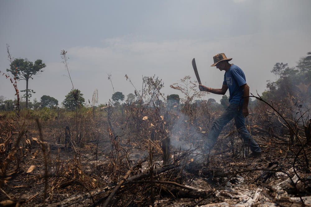 Seventy-year-old farmer Dorival Costa on his land on the BR-319 highway through the Brazilian Amazon on Monday.