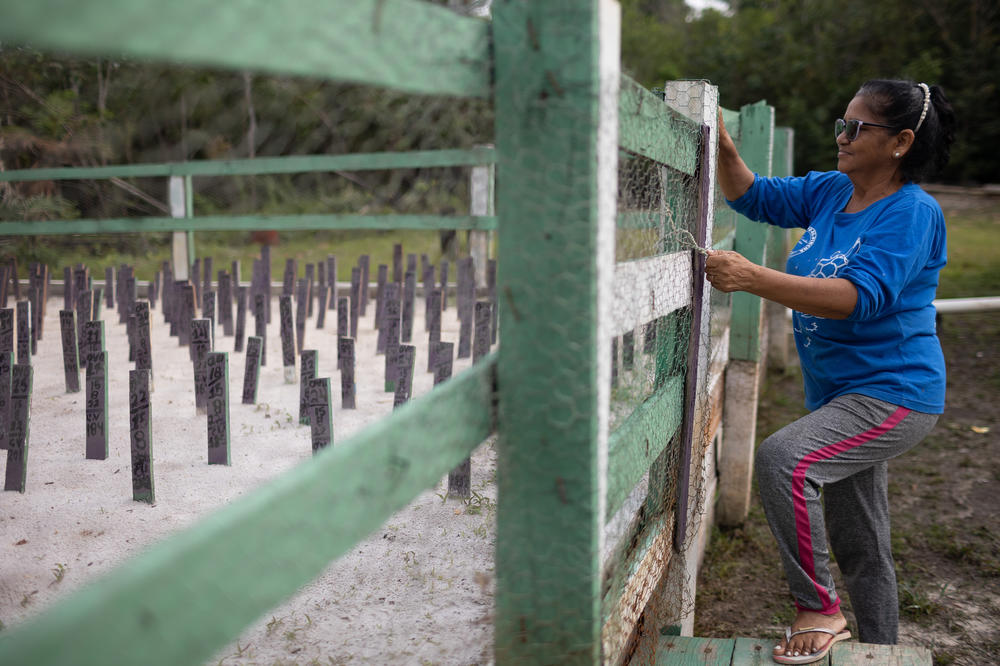 Nilda Castro dos Santos, a 64-year-old farmer and owner of the small hotel Dona Mocionha, next to a turtle hatchery she helps manage in the community of São Sebastião, on the BR-319 highway through the Brazilian Amazon, on Tuesday. The community is crossed by the Igapó-Açu<em> </em>River and has a ferry for vehicles and pedestrians.