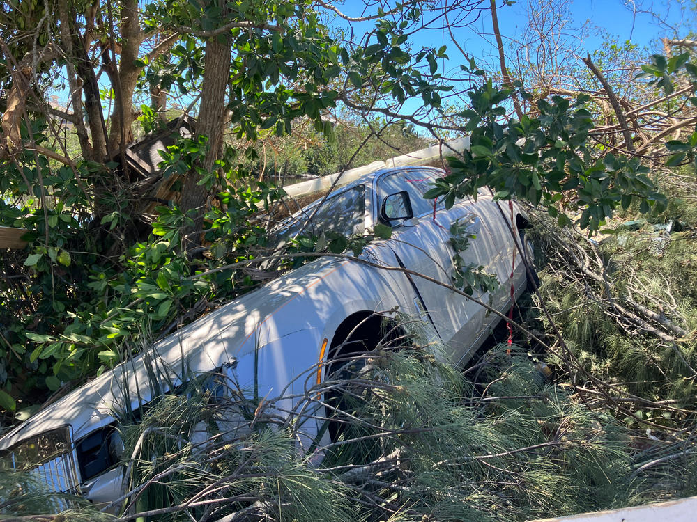 A Rolls Royce swept into the mangroves in Bonita Springs, south of Cape Coral, on Sept. 30, 2022.