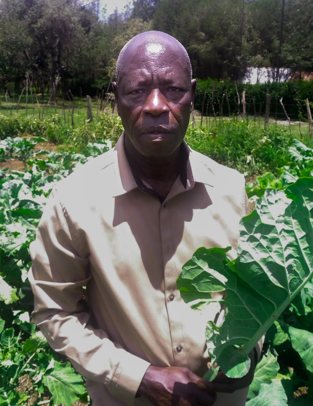 Benard Mwenja's reserve water supply has helped him weather the drought better than many of his neighbors. He is now focusing on more stable crops like kale, carrots and onions instead of relying only on corn with its fluctuating prices.