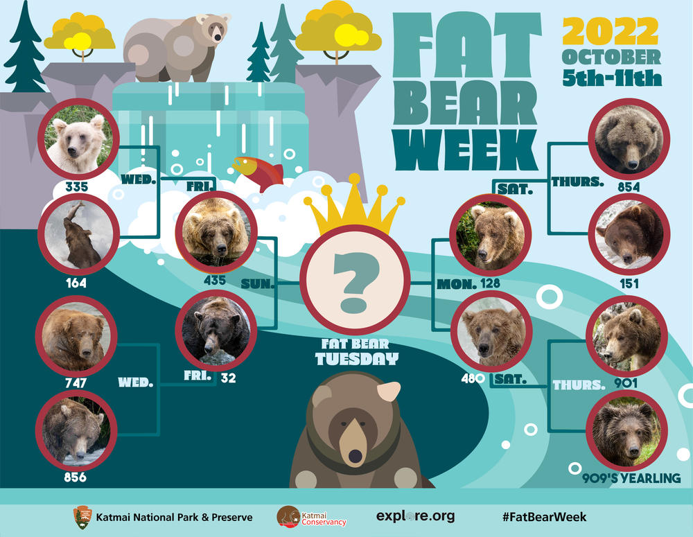 The bear bracket.