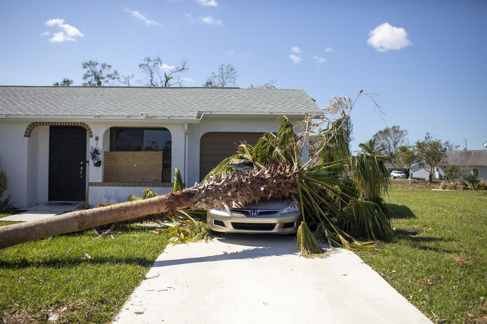 A tree toppled by Hurricane Ian sits on top of a car in North Port, Fla., on Wednesday.