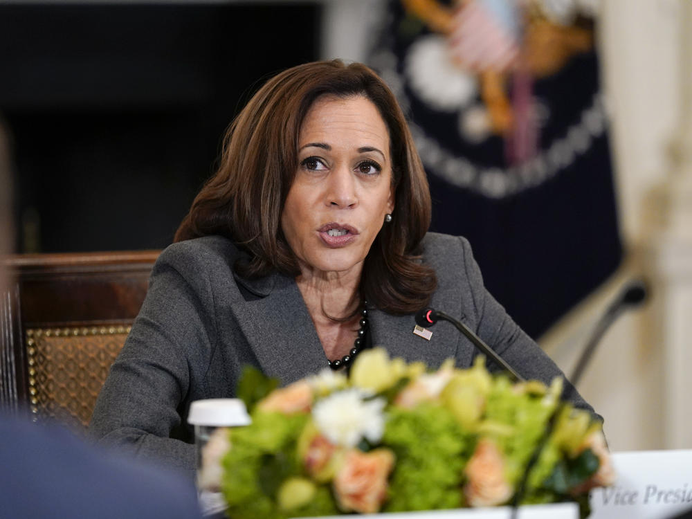 Vice President Harris speaks during a reproductive rights task force meeting at the White House. It was the second time the task force has met since the Supreme Court overturned Roe v. Wade in June.