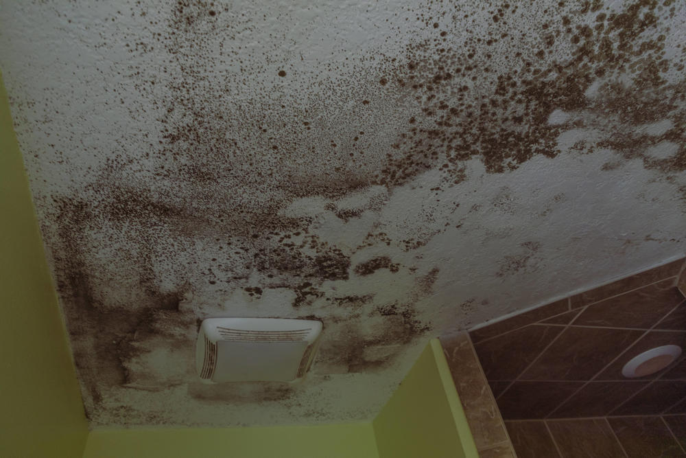 In less than a week a ceiling is covered with mold at the Day house.