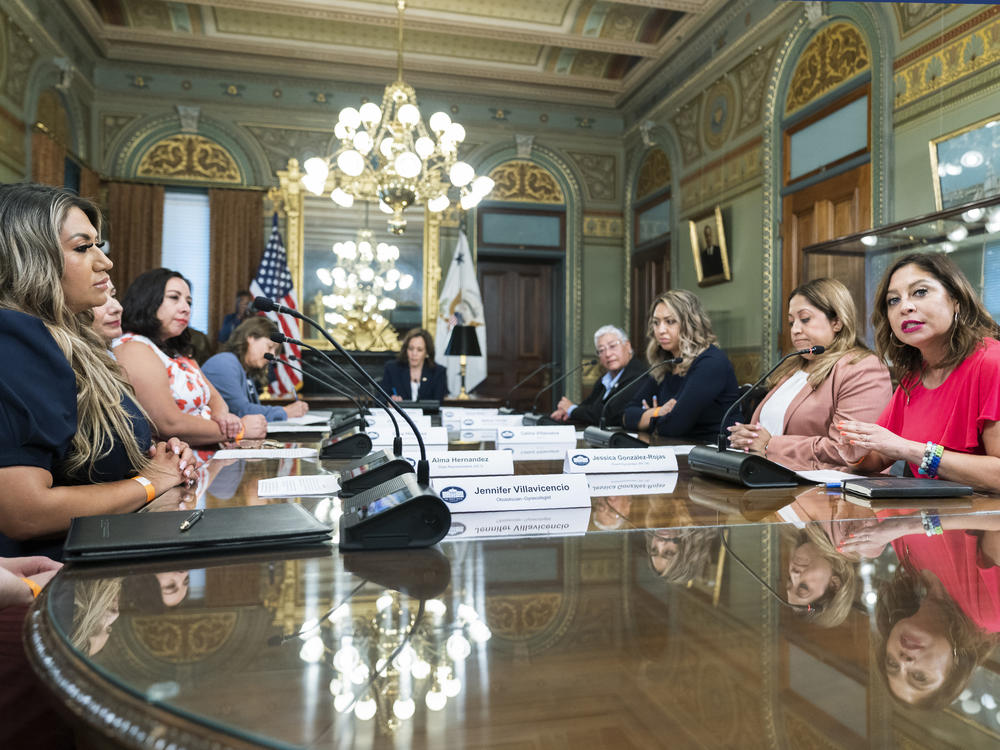 Vice President Harris, back center, met with Latina state legislators about reproductive rights back in August at the White House, including New York Assembly Member Jessica Gonzalez-Rojas, right.
