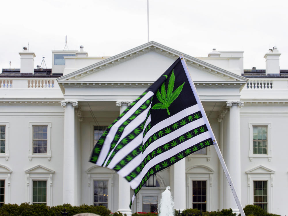 A demonstrator waves a marijuana-themed flag in front on the White House. President Biden is pardoning thousands of Americans convicted of 