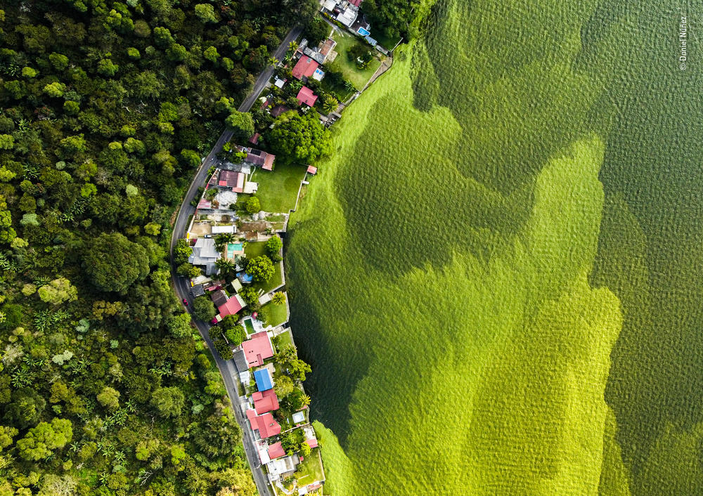 <em></em><strong>Wetlands Winner: </strong><em>The dying lake. </em>Lake Amatitlán, Villa Canales, Guatemala<em>. </em>Cyanobacteria flourishes in the presence of pollutants, such as sewage and agricultural fertilizers, forming algal blooms. Efforts to restore the Amatitlán wetland are underway but have been hampered by a lack of funding and allegations of political corruption.