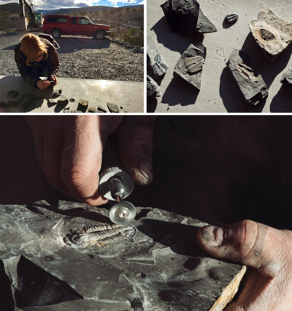 Upper left, clockwise: While I photographed some of the prehistoric finds, a quarry guide prepped one fossil by sanding the shale away from the preserved remains.
