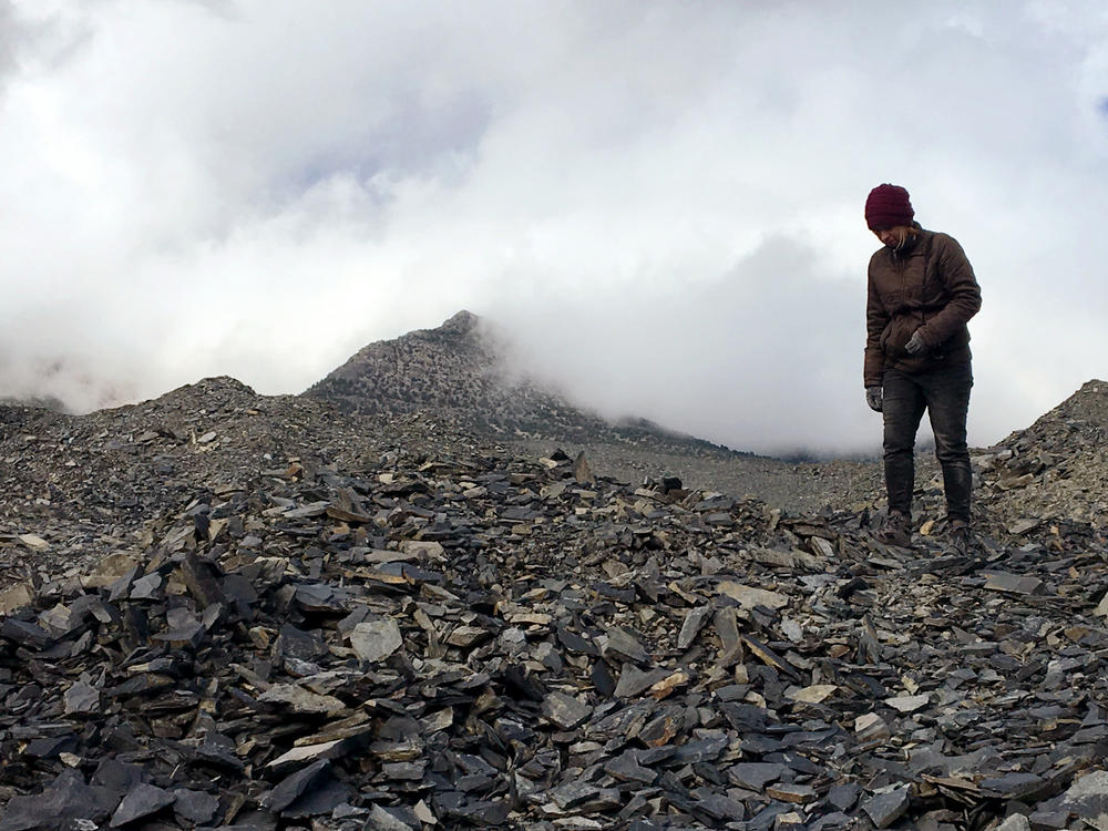 Walking through the shale quarry in Delta, Utah, in 2017.