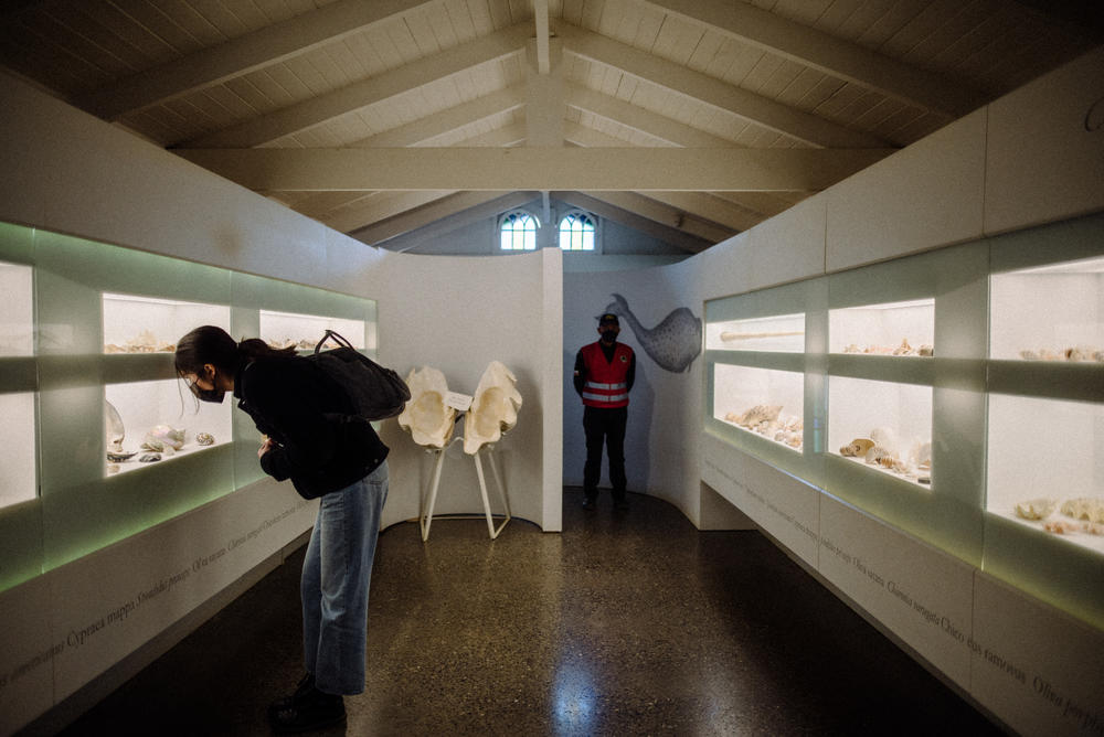 A visitor and staff member at the Neruda museum in Isla Negra on Aug. 31. Many of Neruda's collections in the house are nautical-themed, including ships in bottles, seashells and a narwhal tusk.