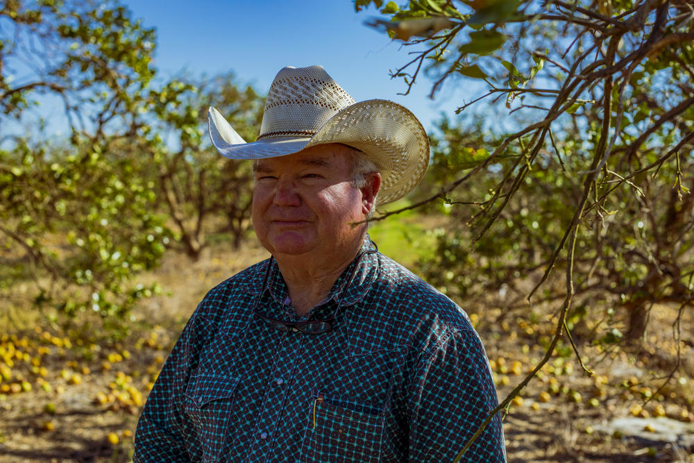 Cliff Coddington at the Longino Ranch.