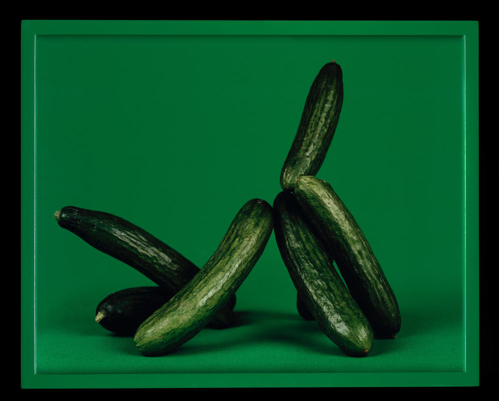 Elad Lassry, <em>Persian Cucumbers, Shuk Hakarmel</em>, 2007, dye coupler print, 9 7/8 × 1 1/4 × 1 1/2 in., Los Angeles County Museum of Art, purchased with funds provided by the Ralph M. Parsons Fund and Marc J. Lee, copyright Elad Lassry, digital image