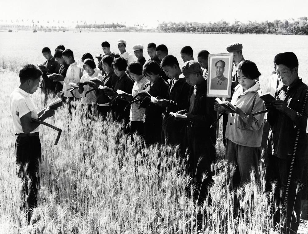 Prior to starting work in a field, young people read some of 