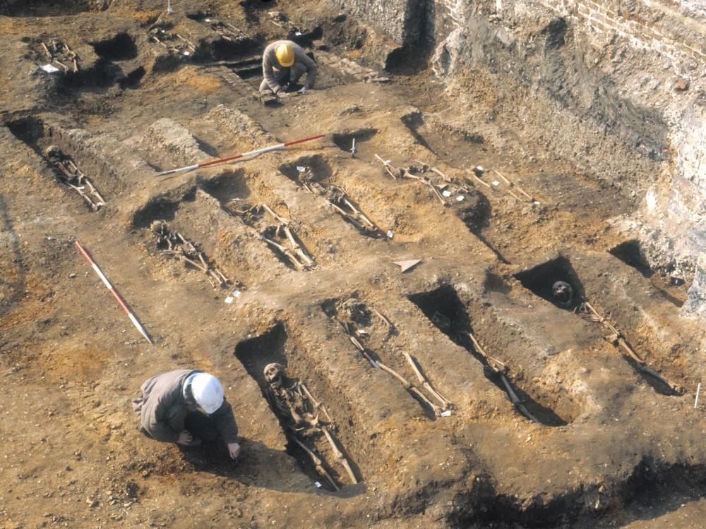 Researchers extracted DNA from the remains of people buried in the East Smithfield plague pits, which were used for mass burials in 1348 and 1349.