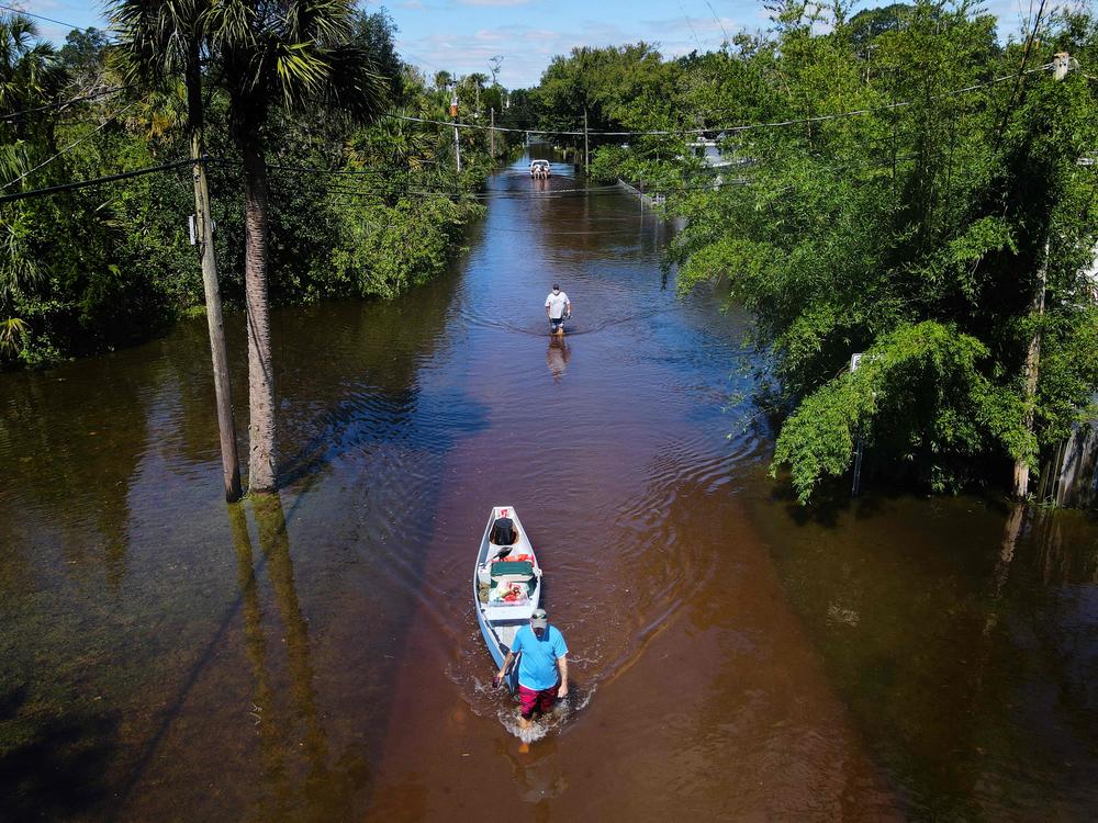 A man tows a canoe through a flooded street of his neighborhood in New Smyrna Beach, Fla., last month. <em>Vibrio vulnificus </em>thrives in warm, brackish floodwaters.
