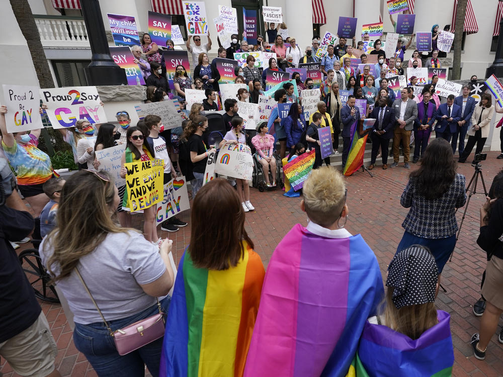Demonstrators gather on the steps of the Florida Historic Capitol Museum in front of the Florida State Capitol in March in Tallahassee, Fla, protesting what opponents call the 