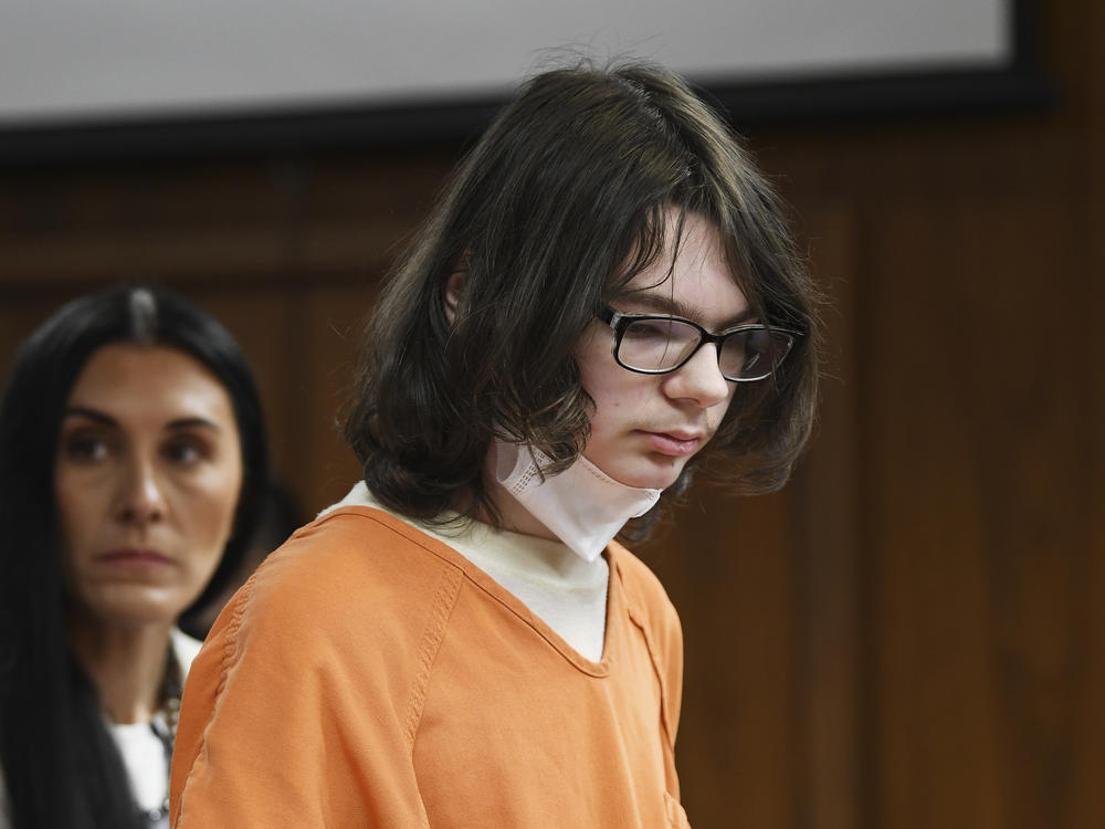 Ethan Crumbley answers yes to charges against him from assistant prosecutor during his pre-trial hearing at Oakland County Courthouse on Monday in Pontiac, Mich. Crumbley entered the guilty plea to 24 criminal charges including terrorism causing death and first-degree murder for the Oxford High School shooting.