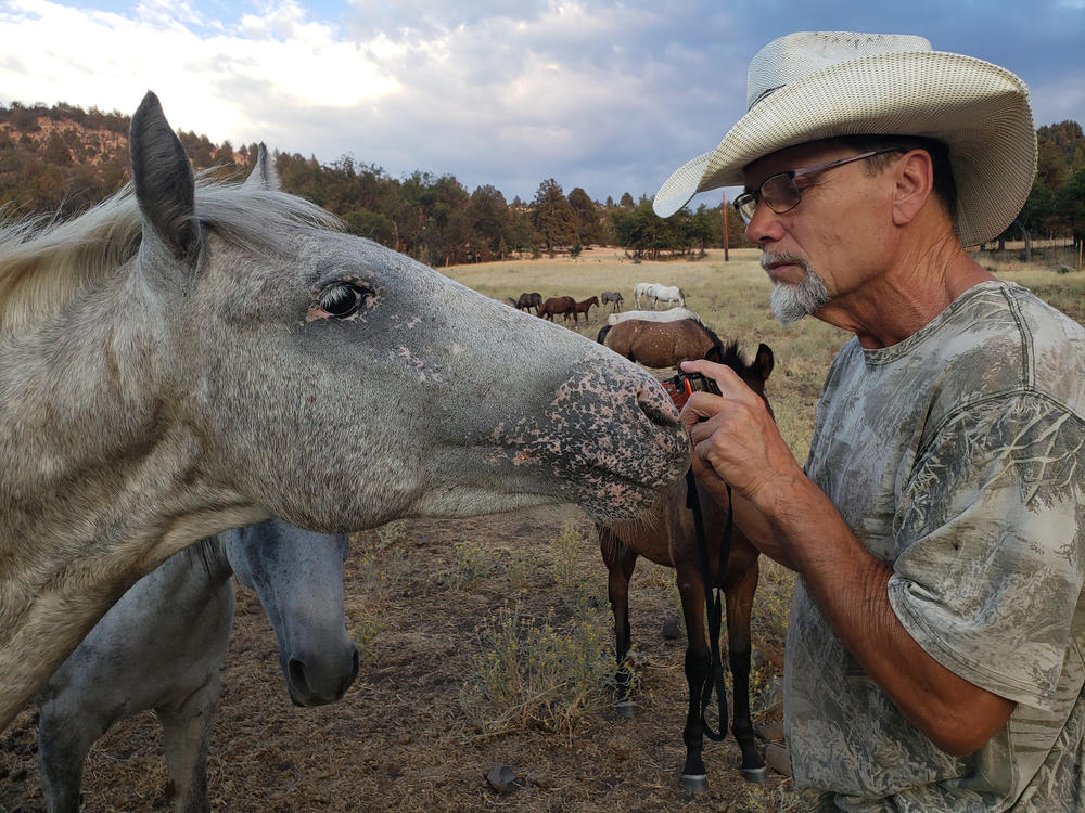 William Simpson with a 2-year-old Appaloosa colt near the Soda Mountain Wilderness area, straddling the Oregon and California border, in July 2022.