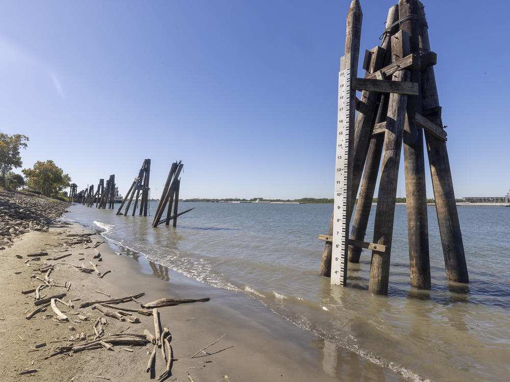 A river gauge marks near record low water levels on the Mississippi River at New Orleans. It's many feet lower than it typically would be and it's creating all sorts of problems.