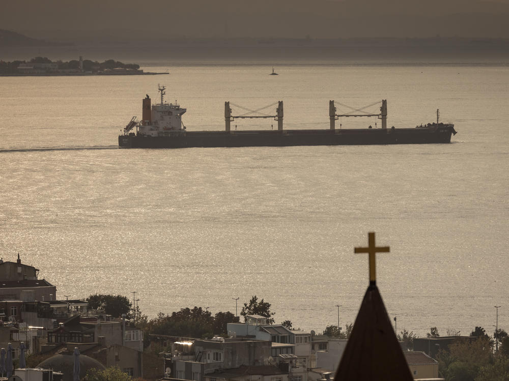 A ship passes through the Bosphorus strait on October 14, 2022 in Istanbul, Turkey.