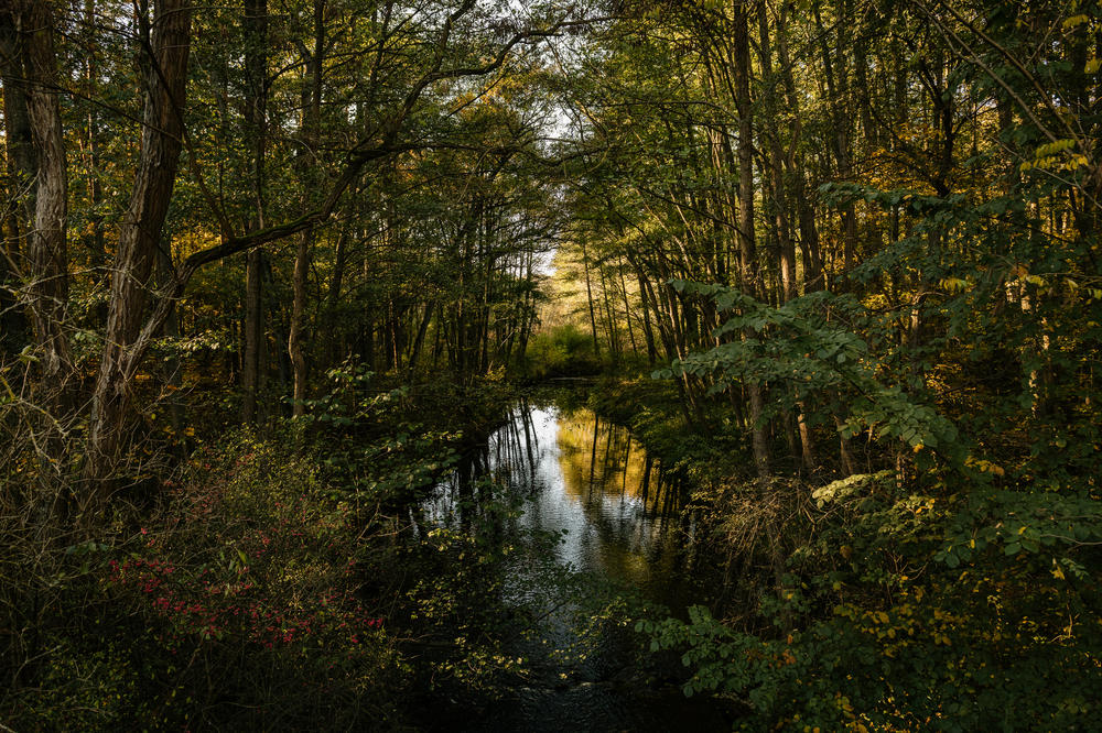 The Loecknitz River, a tributary of the Elbe, near the Tesla factory in Gruenheide on Oct. 26.