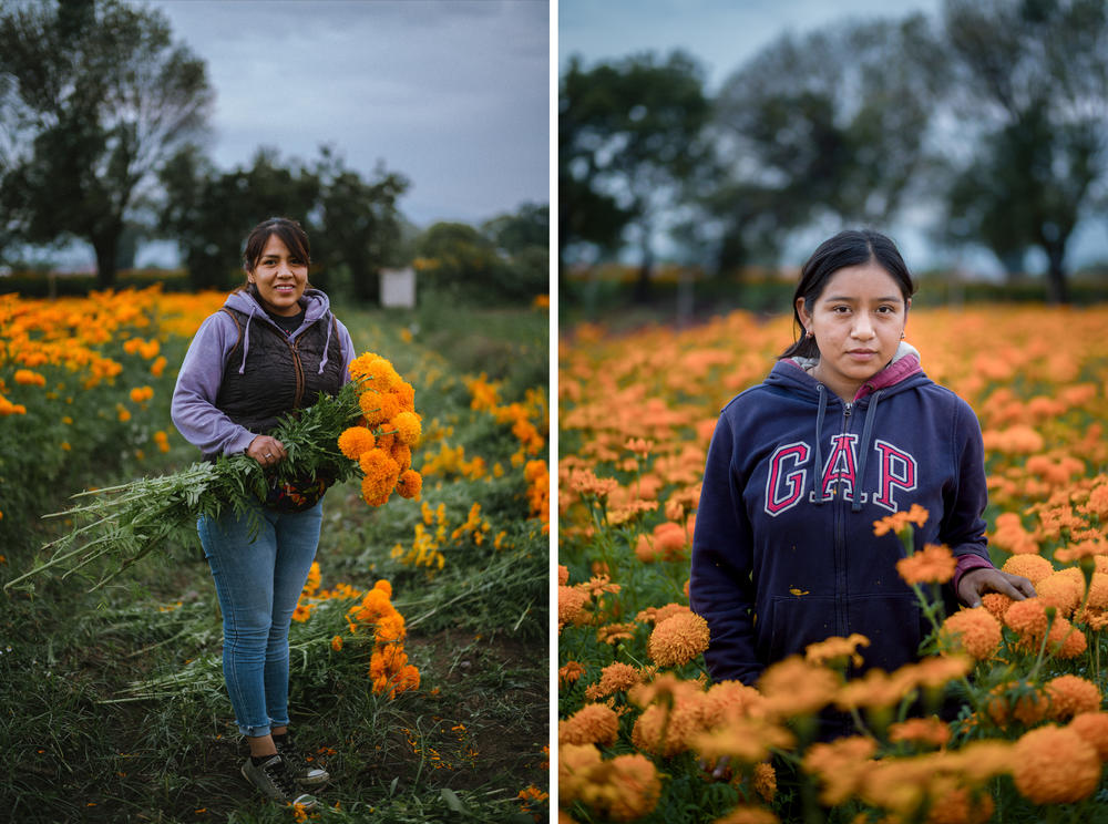 Maria Fernanda Hernandez Reyes, 29, has been harvesting for the last 6 years after marrying Virginia Marin's son in San Fulix Hidalgo. Miriam García Reyes, 14, has been working for three years in the fields of the Marin Solis family in San Fúlix Hidalgo, Puebla, Mexico.