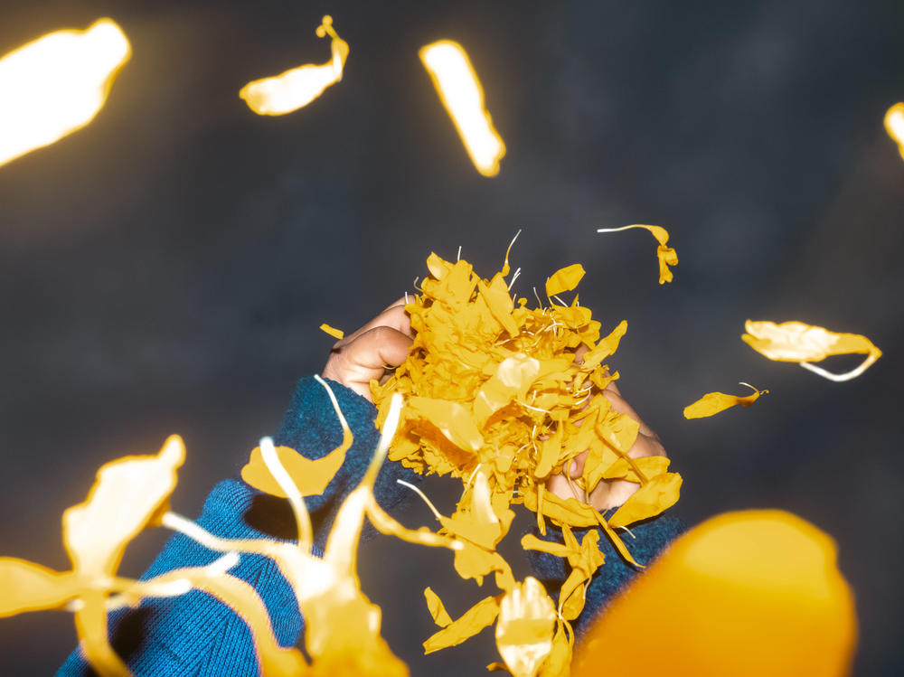 Alonso, the son of Maria Fernanda Hérnandez, plucks a cempasúchil flower in San Fúlix Hidalgo, Puebla, Mexico.