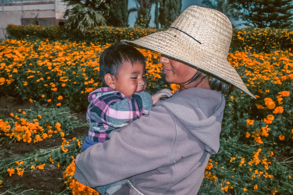 Sara and her son Pablo during their work day harvesting Cempasúchil flowers in San Gregorio Zacapechpan, Puebla, Mexico.