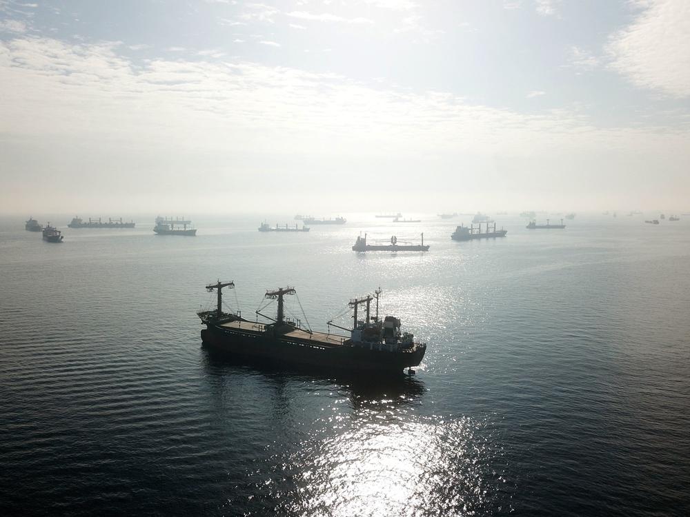 Cargo ships loaded with grain in the anchorage area of the southern entrance to the Bosporus Strait in Istanbul on Monday. Ships left Ukrainian ports on Monday despite Russia's decision to pull out from a landmark deal designed to ease a global food crisis.