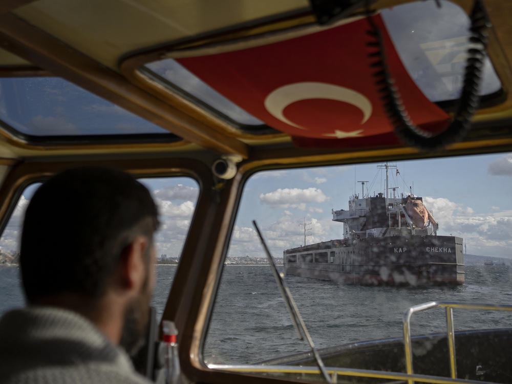 A boat operator ferries inspectors to the Tzarevich ship, which is carrying 10,000 metric tons of sunflower meal from Chornomorsk, Ukraine, to Bulgaria, on Oct. 6 in Istanbul. The ship stopped en route in the Marmara Sea in order to be checked by officials from the United Nations, Ukraine, Russia and Turkey.