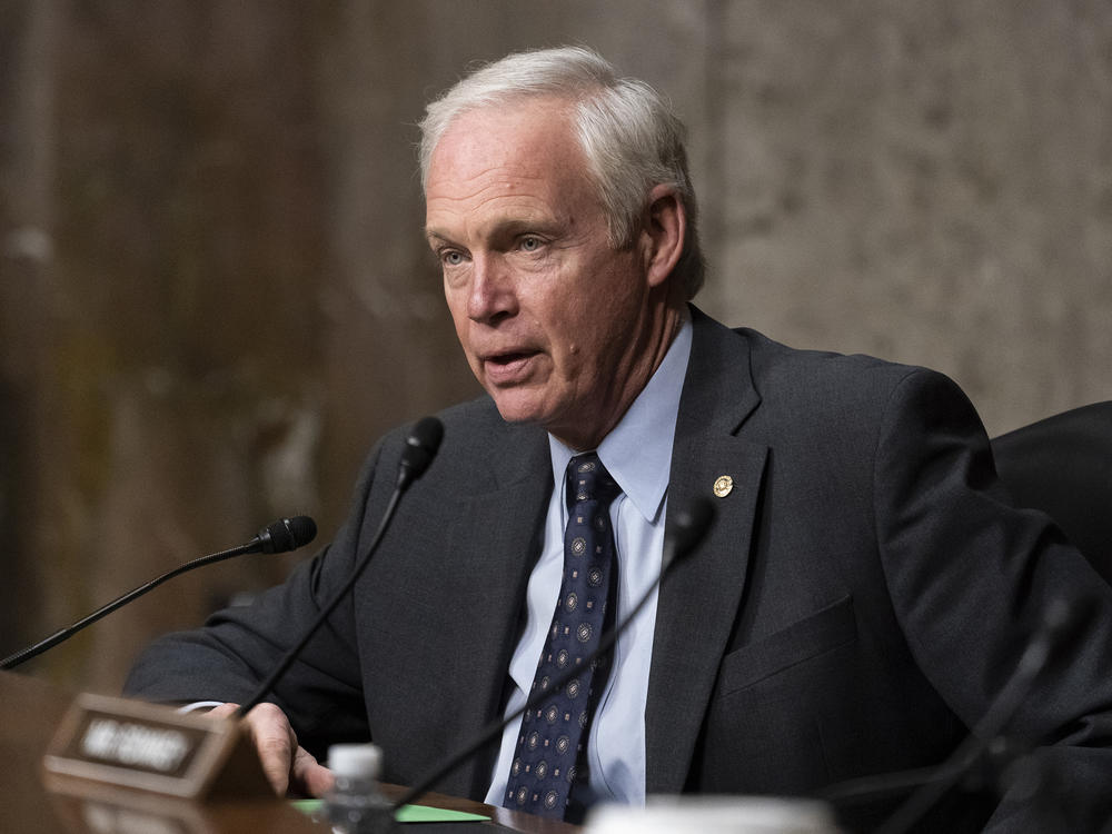 Sen. Ron Johnson, R-Wis., speaks during a Senate Foreign Relations Committee hearing last year.