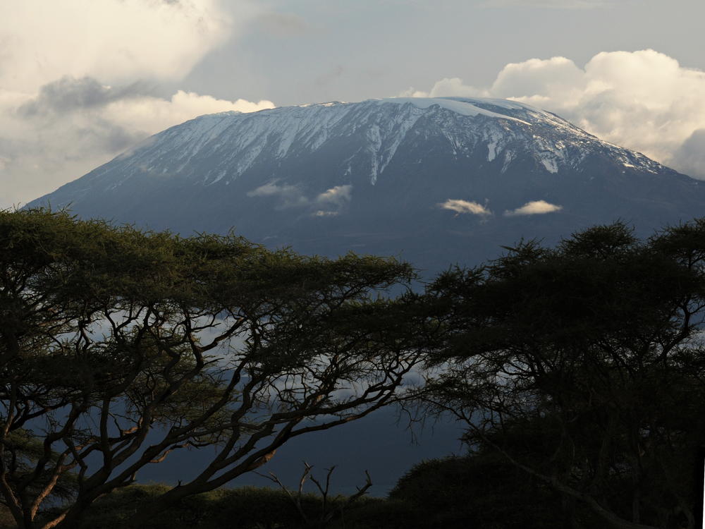 Africa's last remaining glaciers, including on Mount Kilimanjaro, are expected to melt by 2050. The mountain is seen here in 2009.
