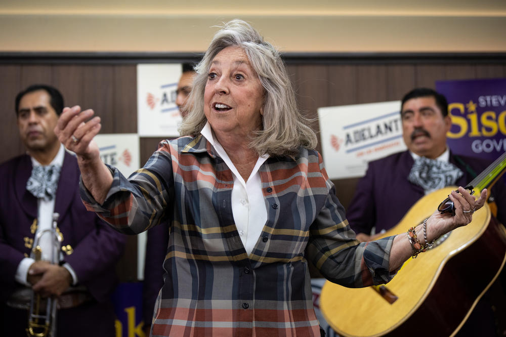 Rep. Dina Titus, D-Nev., campaigns in Las Vegas in October.