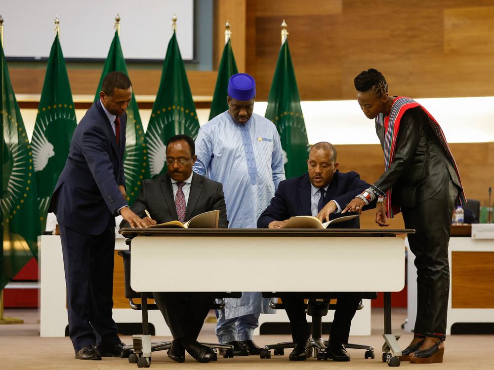 Redwan Hussein (seated left), representative of the Ethiopian government, and Getachew Reda (seated right), representative of the Tigray People's Liberation Front, sign a peace agreement between the two parties in Pretoria, South Africa, Wednesday.