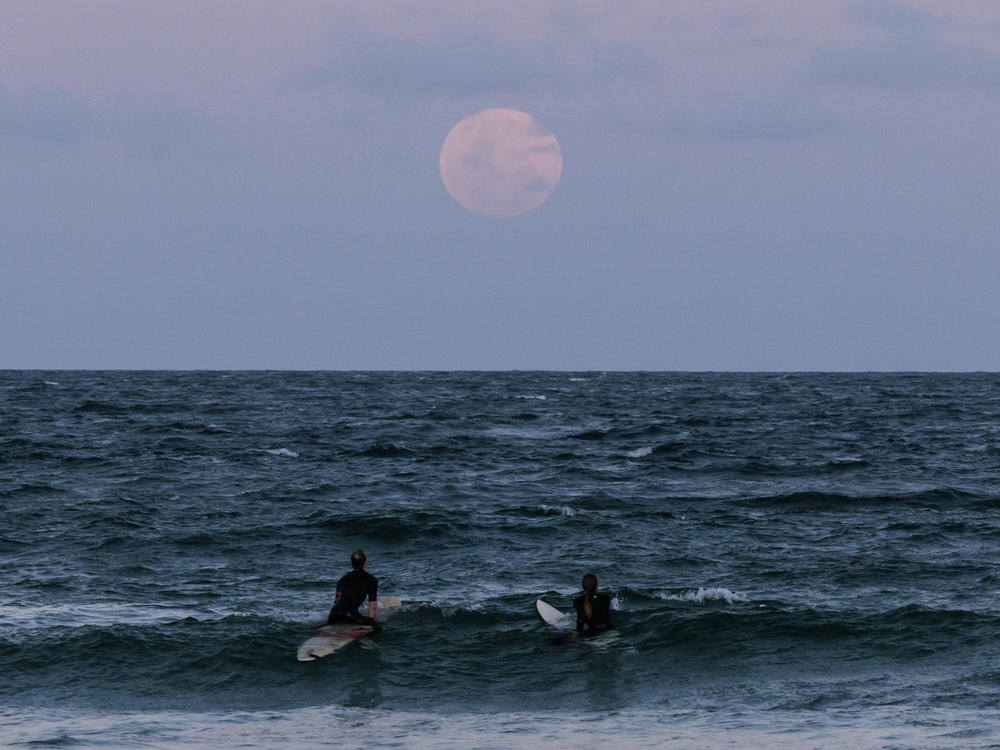 Surfers at Sydney's Manly Beach ahead of the total lunar eclipse in Australia.