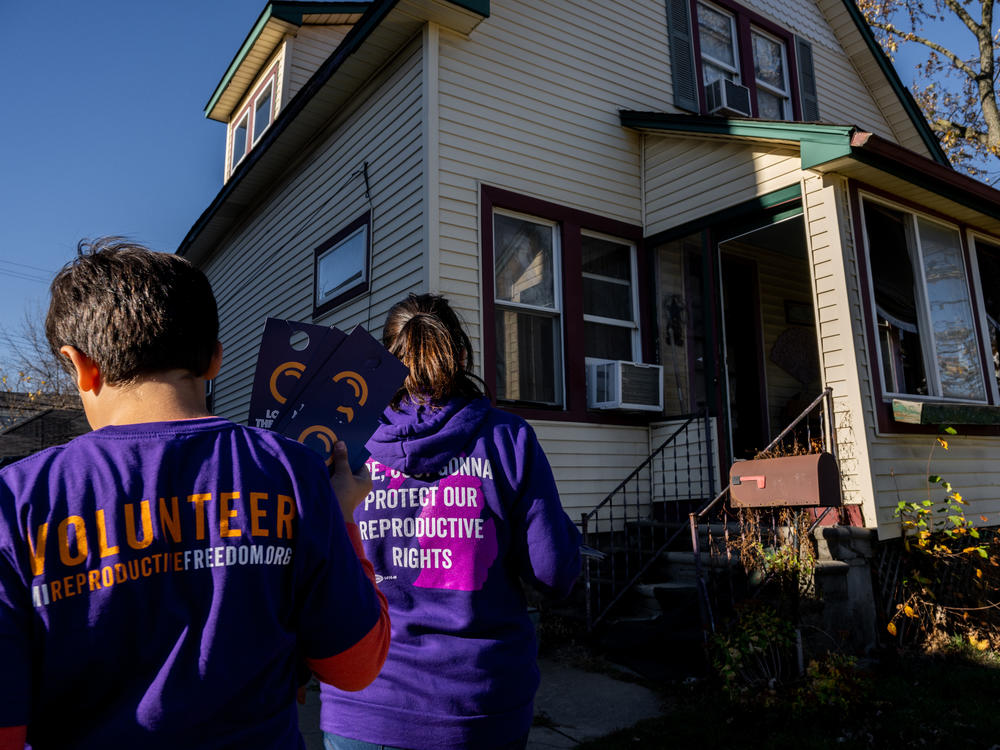 Sandra Bucciero and her son Luke canvass for Proposal 3 last weekend in Dearborn, Mich. Voters approved the amendment protecting abortion rights.
