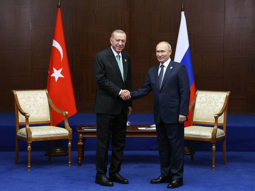 Russian President Vladimir Putin meets with Turkey's President Recep Tayyip Erdogan on the sidelines of the Sixth Summit of the Conference on Interaction and Confidence Building Measures in Asia in Astana, Kazakhstan, on Oct. 13.